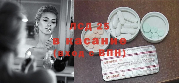 ГАЛЛЮЦИНОГЕННЫЕ ГРИБЫ Абаза