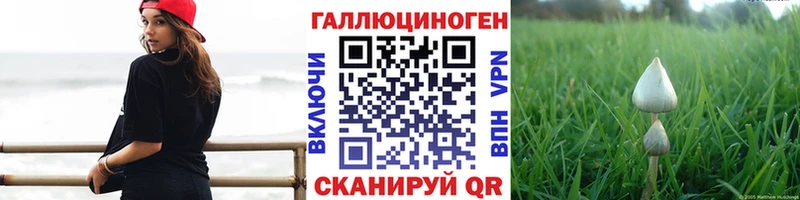 хочу   Чита  Псилоцибиновые грибы GOLDEN TEACHER 