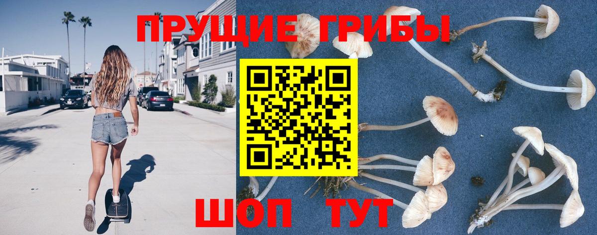 наркошоп  Галлюциногенные грибы мухоморы  Вход с VPN  Псилоцибиновые грибы мицелий  Чита 